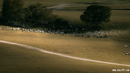 9e52b19c141a7ad714f27f2984c2b68f.gif