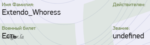 imagee168a1b0c8b50ee3.png