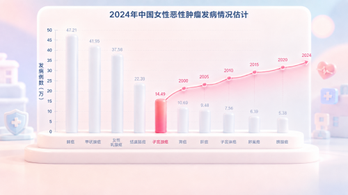 upload-698c40da-5ca6-4758-8448-6d7b793b1213.png