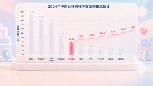 upload-c00039c8-8789-457d-917d-d8a770d5f821.png