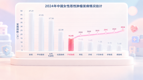upload-c39d5436-a156-4049-bae2-3aac93271b18.png
