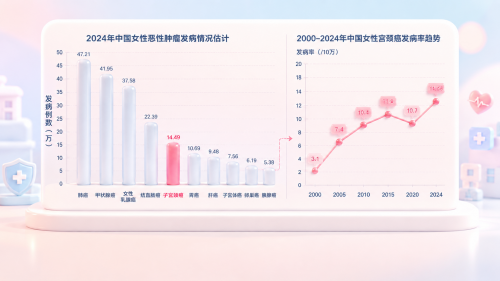 upload-e2661fe4-da42-4d19-982a-4e1317f66bcd.png